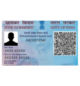 Pan Card